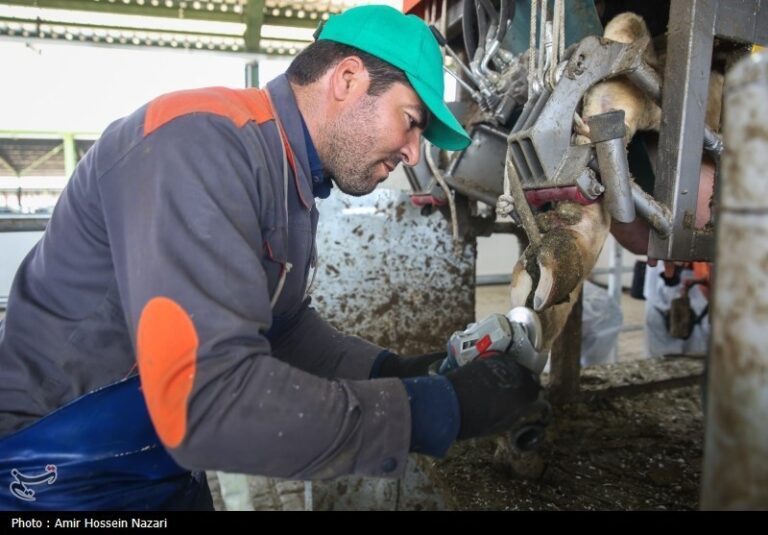 لایحه مالیاتی دولت برای سرمایهگذاری بیشتر در تولید