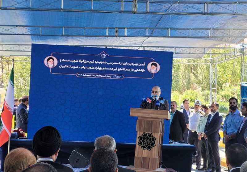 چمران: قطع درخت از مخیله شهرداری تهران عبور نمی‌کند