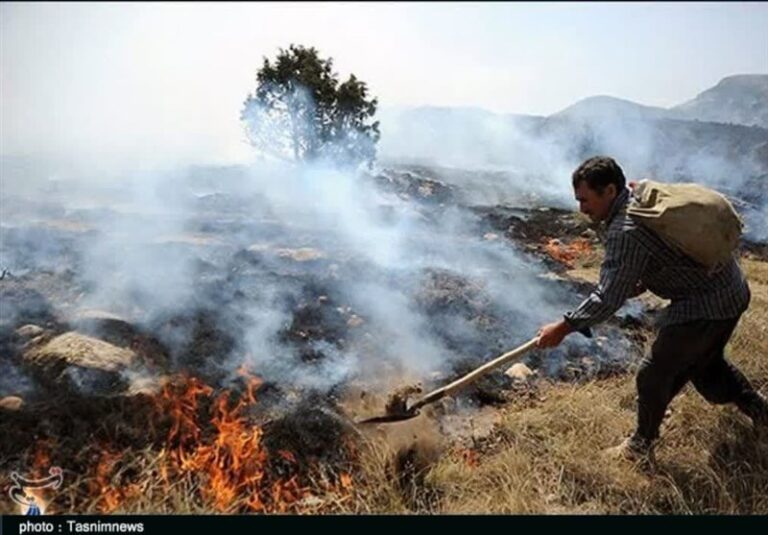 آتشسوزی ۲۶۰۰ هکتار از جنگلهای لرستان را خاکستر کرد