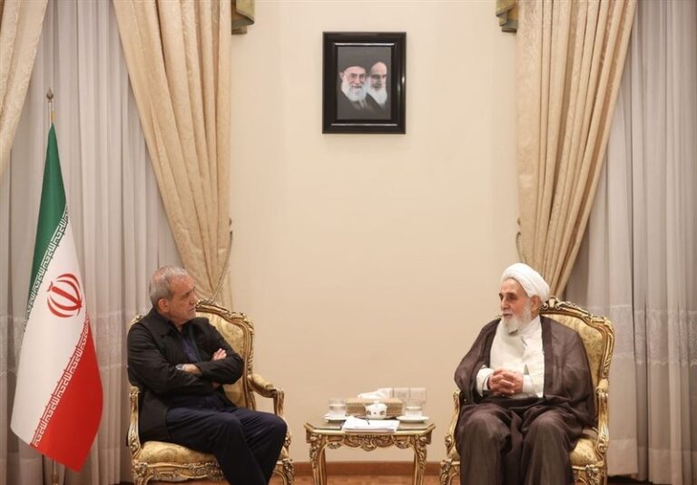دیدار ناطقنوری با پزشکیان