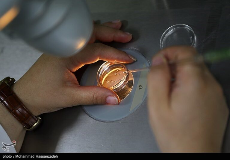 روشهای فریز و اهدای تخمک استانداردسازی میشود