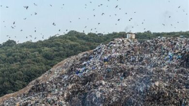 زباله‌سوز و کارخانه کمپوست شرط پایان دفن زباله در “سراوان”