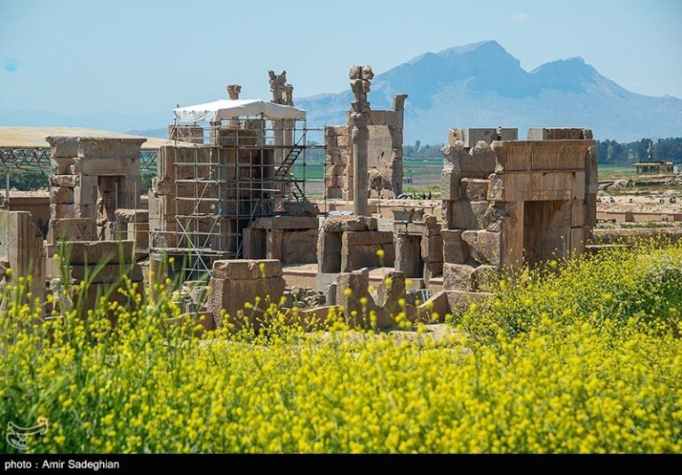 “فرونشست ۲۱سانتیمتری” تهدید جدی تختجمشید