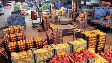قیمت انواع میوه در میادین و بازارهای میوه‌وتره‌بار کاهش یافت