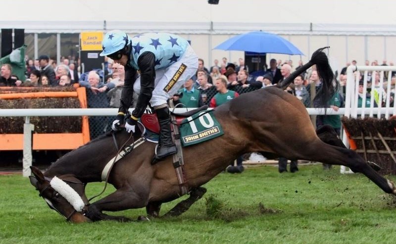 لگد مال شدن “حقوق حیوانات” در مسابقه اسبدوانی