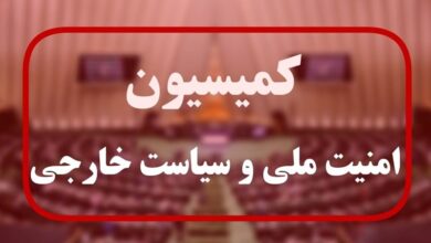 حضور وزیر پیشنهادی خارجه در کمیسیون امنیت ملی مجلس