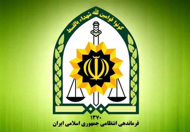 رفتار رخداده درباره “میرموسوی” برخلاف مشی حرفهای پلیس بوده