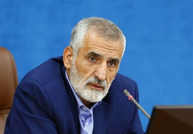 میراحمدی: دشمنان به دنبال اربعینهراسی هستند