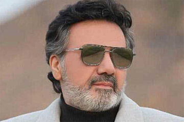 وزیر فرهنگ: پرستو صالحی نگاه براندازانه داشت/ معین هرزمان بخواهد میتواند به ایران بازگردد