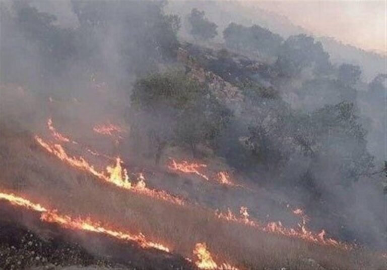 آتشسوزی گسترده در جنگلهای پلدختر/ درخواست اعزام ۲ بالگرد