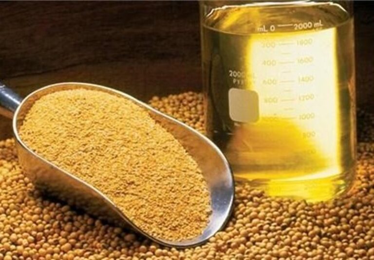 خرج ۵میلیارد دلار نفتی برای دانه روغنی/ چرا خودکفا نشدیم؟