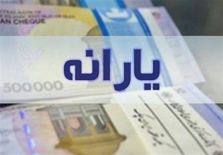 دیوان محاسبات: ۸۱ میلیون نفر یارانه میگیرند