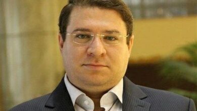 محمد گلزاری دبیر شورای اطلاع رسانی دولت شد