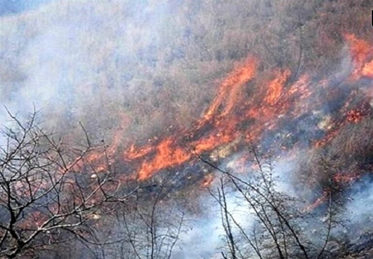 مهار آتشسوزی در منطقه حفاظتشده “نئور”