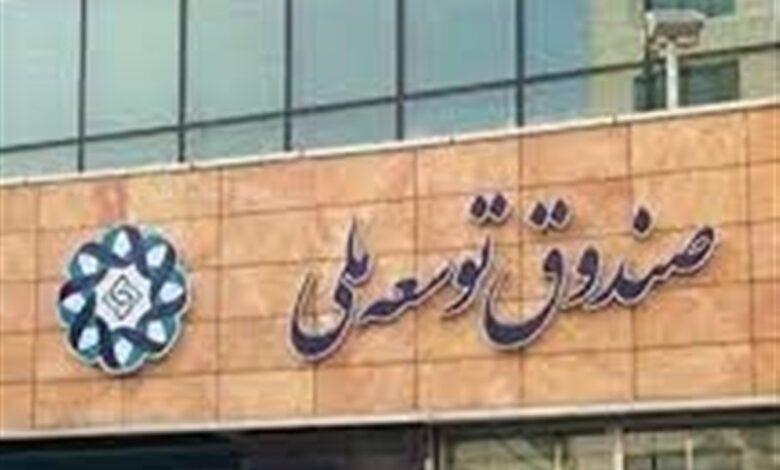 موافقت رهبر انقلاب با کاهش ۲۰درصدی سهم صندوق توسعه ملی