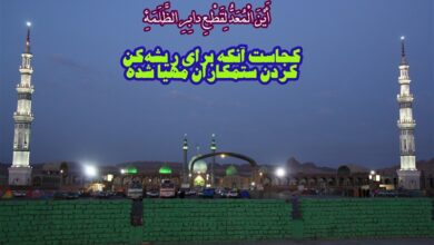 پاسخ به یک شبهه؛ امام زمان چه کسانی را از دم تیغ می‌گذراند؟