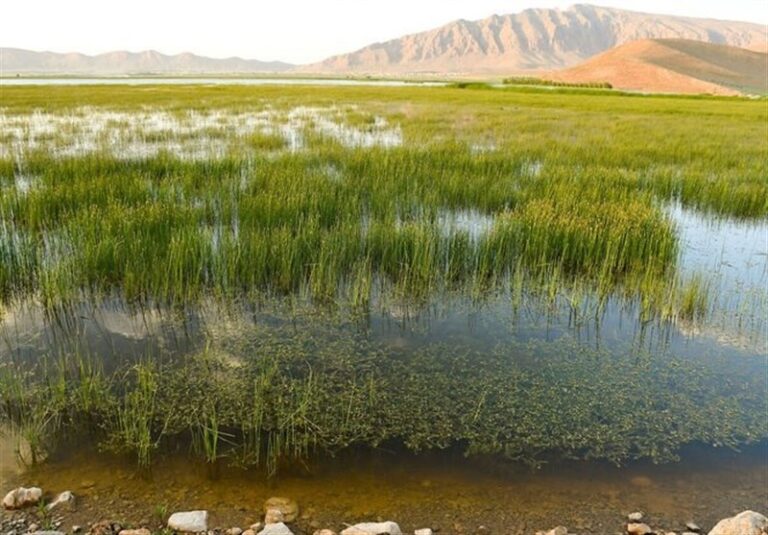 ۲ مأموریت مهم “وزارت نیرو” در سال آبی جدید