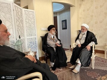 تصاویری از مهمان جدید مهدی کروبی بعد از رفع حصر/ مصطفی محقق داماد و برادرش به دیدار شیخ رفتند