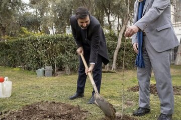 روز درختکاری در شورای نگهبان/ مدرسی یزدی: اهمیت کاشتن درخت و زراعت در اسلام روشن است/ سخنگوی شورای نگهبان: حفظ محیط زیست مورد توجه قانون اساسی است