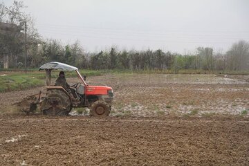 شخم اولیه ۳۳ درصد شالیزارهای گیلان
