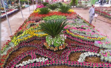 شهر همدان با کاشت ۲ میلیون گل رنگارنگ به استقبال بهار میرود