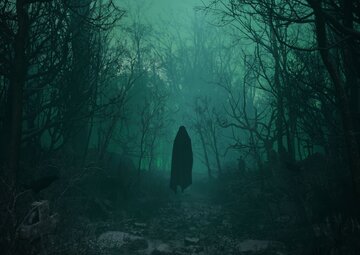 صدای جیغ زنی که در آتش میسوزد یا صدای اجنه؟/ «جنگل جیغ»، مکانی اسرارآمیز و وهمآلود در ایران