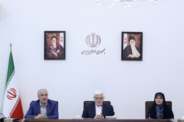 عارف: کشور از نظر مسائل سیاسی، امنیتی در آرامش است/ از برخورد شعاری با نامگذاری سال پرهیز شود