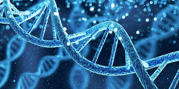 فقرا پیروز نمی شوند / ژن ثروت منافع طبقات بالا را تامین می کند؟/  در خانواده های کم درآمد استعداد سیاسی سرکوب می شود