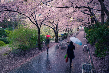 پیشبینی وضعیت هوا طی روزهای آینده/ آسمان این استانها بارانی است