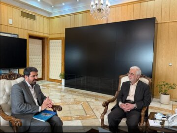 از سرمایهگذاری زنان در استان همدان حمایت میشود