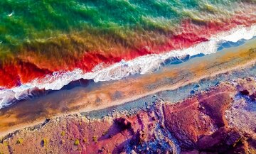 خاک نقرهای به فنا رفت/ این خاک یک میلیون سال دیگر بازسازی میشود