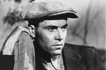 «خوشههای خشم» سریال میشود