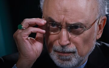 مذاکره کننده اسبق و ارشد هستهای ایران: از تهدید چنین ملت ریشهداری چه کسی سود میبرد؟ / تهدید بینتیجه ایران بزرگ را متوقف کنید