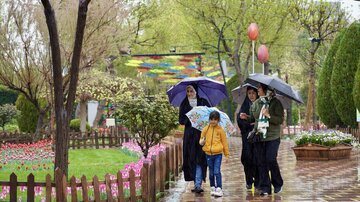 گزارشی از دومین روز جشنواره؛لالههای باغ گلهای کرج زیر چتر باران بهاری