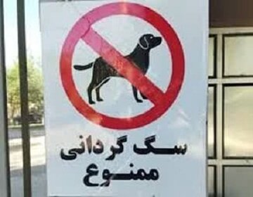 روزنامه شهرداری: اجرای قانون ممنوعیت سگ گردانی، مردم را قانون شکن می کند؛ آن را اجرا نکنید/ قابلیت اجرا ندارد، رهایش می کنید