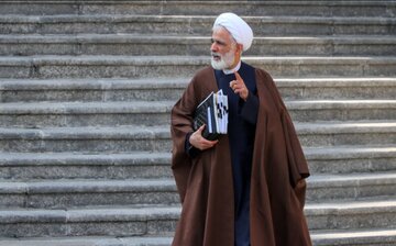 معاون رئیس جمهور: سه قوه در مورد حقوق زنان هیچ تردیدی ندارند/ اختلاف نظرها مربوط به تغییراتی بوده که باعث کاهش سطح انتظارات شده بود