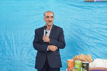 نیمی از نیاز پنبه کشور در داخل تامین می شود