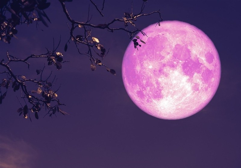 پاسخ علمی به شایعات درباره “ماه توتفرنگی”