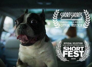 گوسفند ایرانی در آمریکا و ژاپن