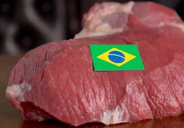 اختلال در واردات گوشت قرمز از برزیل