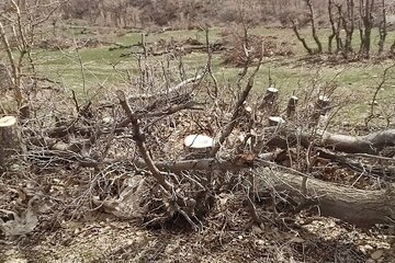 از ابتدای سال تاکنون ۱۰ حکم قلع و قمع قطعی در کرمانشاه اجرا شده است