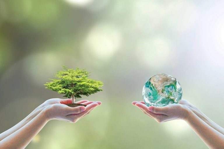استخدام سالانه ۷۰۰ نیرو در دستور کار سازمان محیطزیست