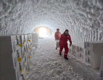 افشای راز ۱.۵ میلیون ساله قدیمیترین یخ زمین