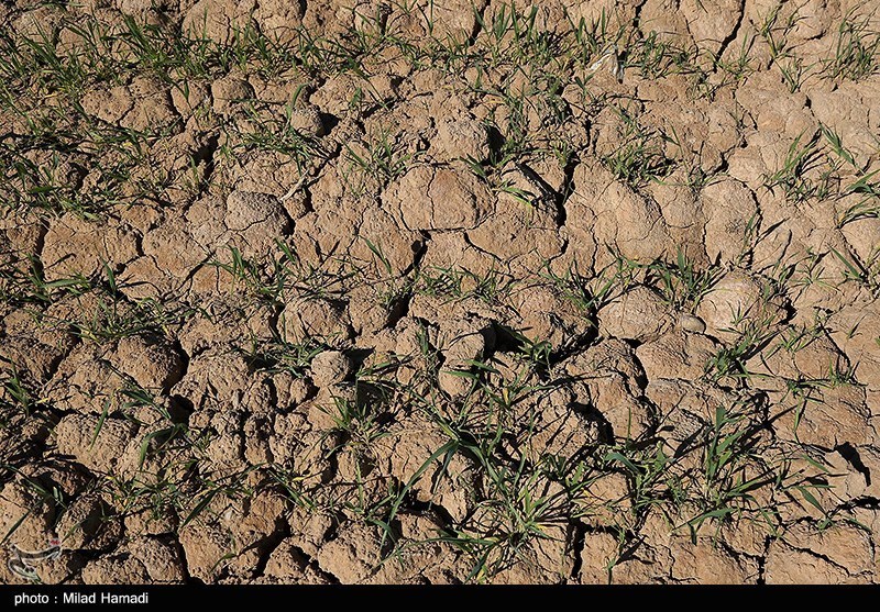 ایران زیر فشار بیآبی؛ نجات از بحران با صرفهجویی ۱۵درصدی خانوار