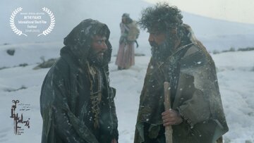 جایزه ویژه جشنواره فیلم کوتاه بلغارستان به «زیر سایه بلوط» رسید