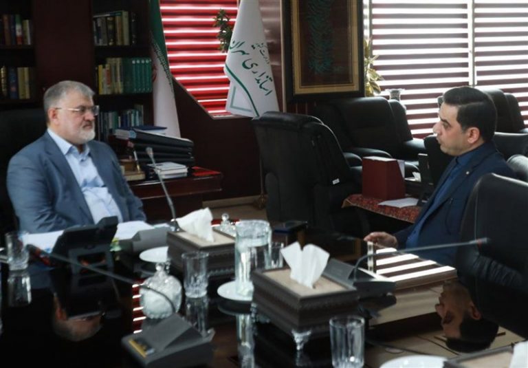 دیدار رئیس فدراسیون والیبال با استاندار تهران