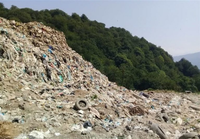 زخم عمیق زباله بر دل جنگلهای هیرکانی/ بوی تعفن بهجای نسیم جنگل!