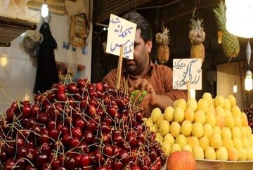 قیمت یک کیلو گیلاس نیم میلیون تومان!/ بازار میوه‌های تابستانی در شوک گرانی