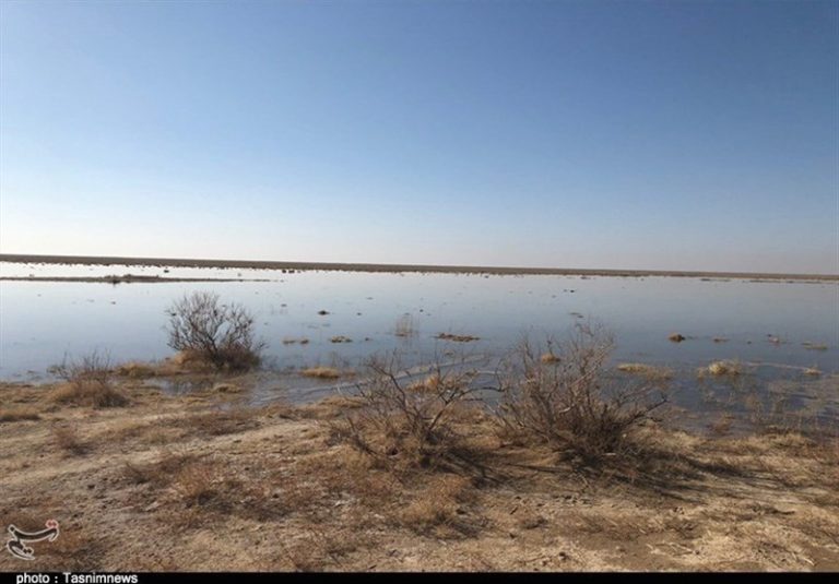 محیط زیست وجود آرسنیک و سیانور در گردوغبار تالاب بندعلیخان را تکذیب کرد