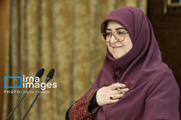 مهاجرانی در پاسخ به خبرآنلاین: دولت چهاردهم رابطه ملت و دولت را از مسیر رفاه حل خواهد کرد/ ایستادگی مردم پای کشور، نشانه موفقیت وفاق است